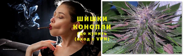шишки Белоозёрский