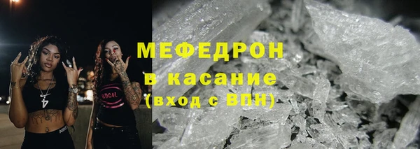 сатива Ростов