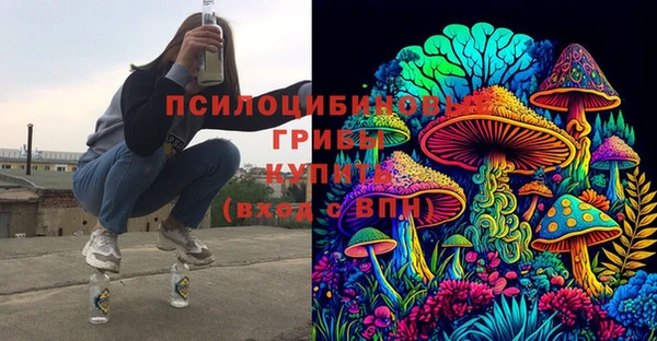MESCALINE Гвардейск